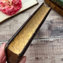 Load image into Gallery viewer, William Habington's Castara; Full Morocco Leather with Gilt Gauffered Edges
