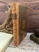 Load image into Gallery viewer, 1907 Mirth and Marvels from the Ingoldsby Legends Tree Calf Leather Book
