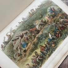 Load image into Gallery viewer, 1870 Rare First Edition of Fairyland; Pictures from the Elf World by Richard Doyle
