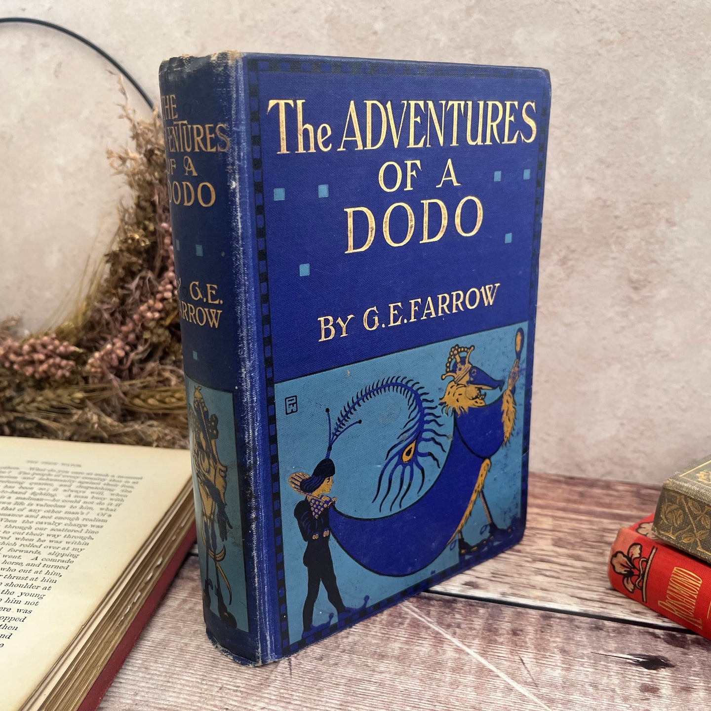 The Adventures of a Dodo by GE Farrow Illustrated by Willy Pogany Rare Antique Book