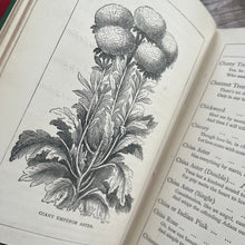 Load image into Gallery viewer, The Language of Flowers; Late Victorian Illustrated Book

