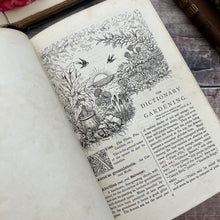 Load image into Gallery viewer, 1897 Beeton's New Dictionary of Every-day Gardening; Victorian Illustrated Book
