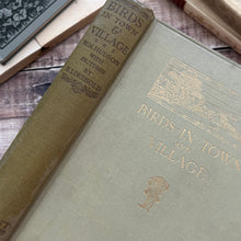 Load image into Gallery viewer, 1919 Birds in Town and Village; Illustrated by Edmund Detmold Colour Plates
