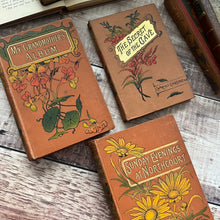 Load image into Gallery viewer, Antique Book Stack with Three Beautiful Floral Bindings
