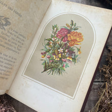 Load image into Gallery viewer, 1872 Langage Des Fleurs; French Language of Flowers with Colour Plates
