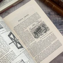 Load image into Gallery viewer, 1885 The Farm and Household Cyclopaedia; Illustrated Victorian Reference Book
