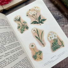 Load image into Gallery viewer, 1911 Alpine Plants of Europe by H.S.Thompson; Antique Floral Binding Book
