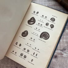 Load image into Gallery viewer, 1880 The Land and Freshwater Shells of the British Isles; Illustrated Victorian Book
