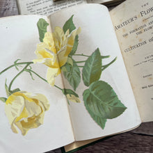 Load image into Gallery viewer, 1897 The Amateur's Flower Garden by Shirley Hibberd; Beautiful Floral Binding
