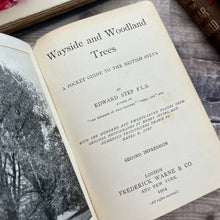 Load image into Gallery viewer, 1904 Wayside and Woodland Trees; A Pocket Guide to the British Sylva
