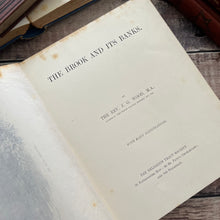 Load image into Gallery viewer, The Brook and Its Banks by J G Wood Natural History Illustrated Book (E)
