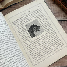 Load image into Gallery viewer, Victorian Book of Field Friends and Forest Foes; Illustrated 19th Century Book

