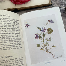Load image into Gallery viewer, 1929 The Children's Book of Wild Flowers by Gareth H Browning; Two Volume Illustrated
