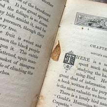 Load image into Gallery viewer, 1874 Hummingbirds by Mary and Elizabeth Kirby; Scarce FIRST Edition Victorian Book
