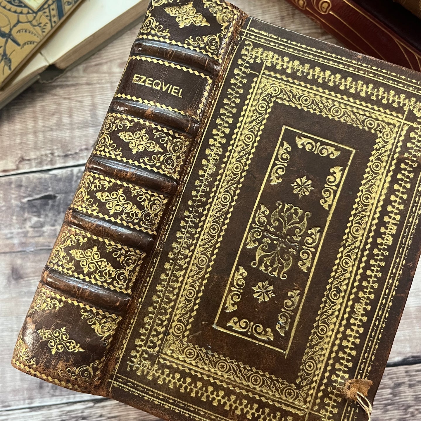 1698 Ezechiel French Antiquarian Volume Full Leather Binding with Gauffered Edges