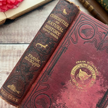 Load image into Gallery viewer, 1891 Curiosities of Natural History by Francis Buckland; Victorian Illustrated Book
