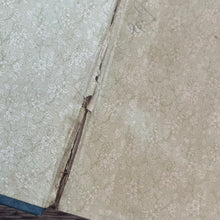Load image into Gallery viewer, Through Pain to Peace by Sarah Doudney Beautiful Pictorial Binding
