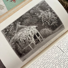 Load image into Gallery viewer, 1907 The Flower Garden by TW Sanders Beautiful Floral Binding
