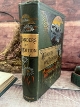 Load image into Gallery viewer, Wonders of Creation as Portrayed by Great Writers Beautiful Floral Binding
