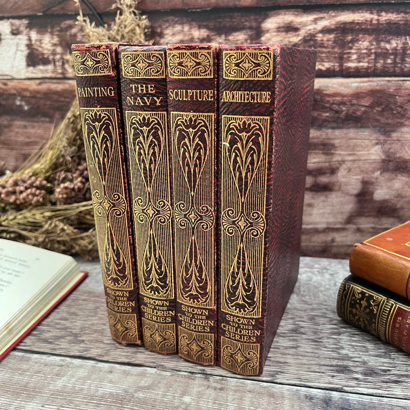 Set of Shown to the Children Series Antique Books