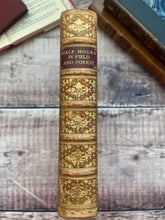 Load image into Gallery viewer, Half Hours In Field and Forest; Stunning Full Tree Calf Leather Binding
