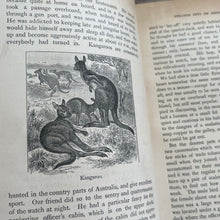 Load image into Gallery viewer, Four Hundred Animal Stories; Late Victorian Illustrated Book
