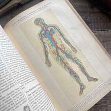 Load image into Gallery viewer, 1902 Household Physician by McGregor Robertson; Illustrated Medical Text
