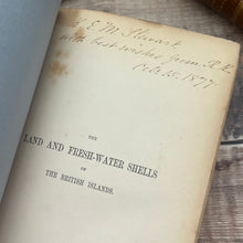 Load image into Gallery viewer, 1857 Manual of the Land and Fresh-Water Shells of the British Islands by William Turton
