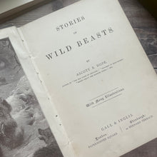 Load image into Gallery viewer, Stories of Wild Beasts by Ascott R Hope; Victorian Illustrated Book of Animals
