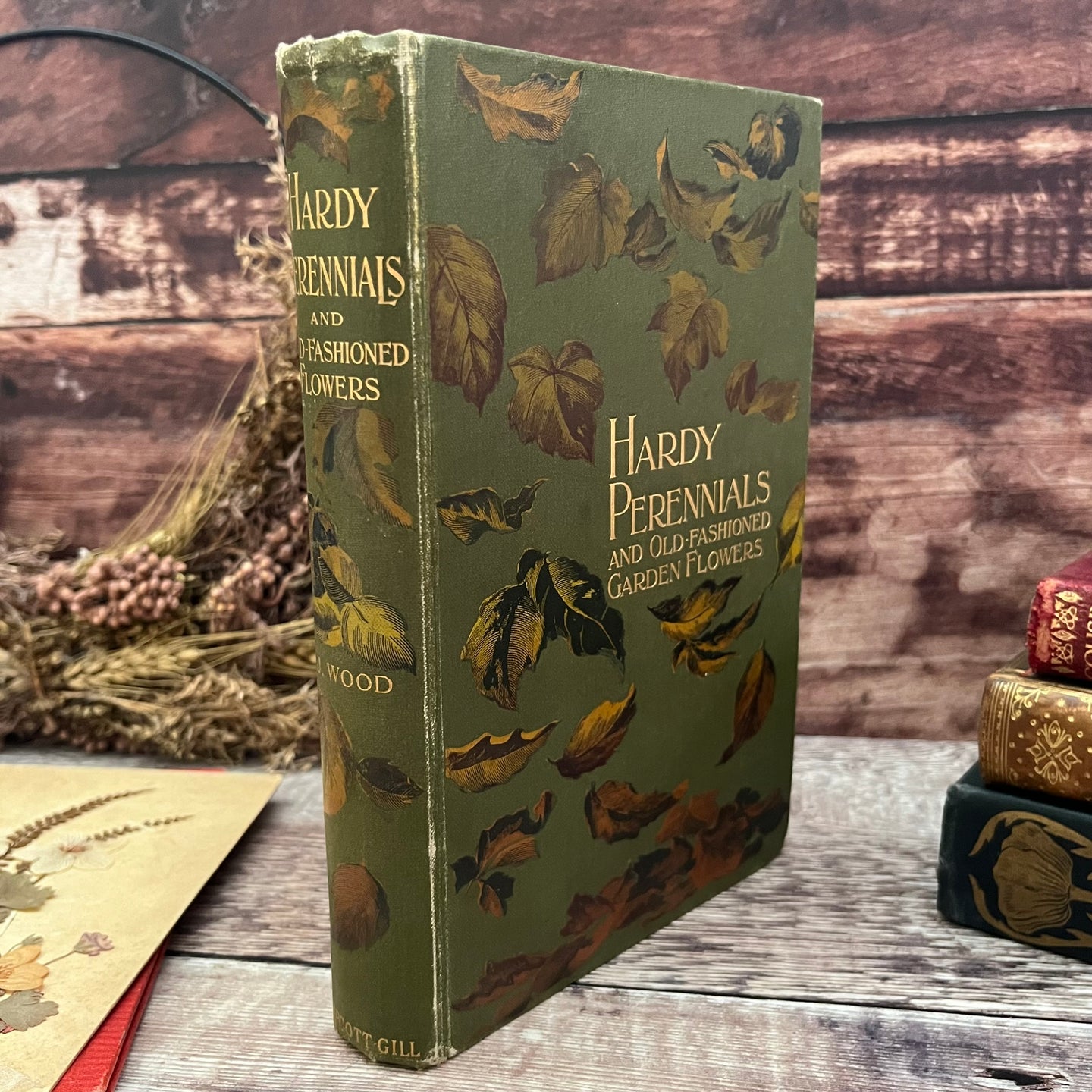Hardy Perennials and Old Fashioned Garden Flowers Late Victorian Antique Book