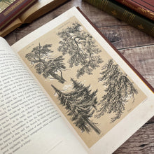 Load image into Gallery viewer, 1877 Drawings from Nature by Barnard Progressive Instructions in Sketching Victorian Book
