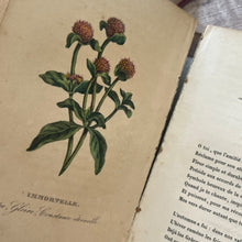 Load image into Gallery viewer, 1839 Nouveau Langage Des Fleurs; French Language of Flowers with Hand Coloured Plates
