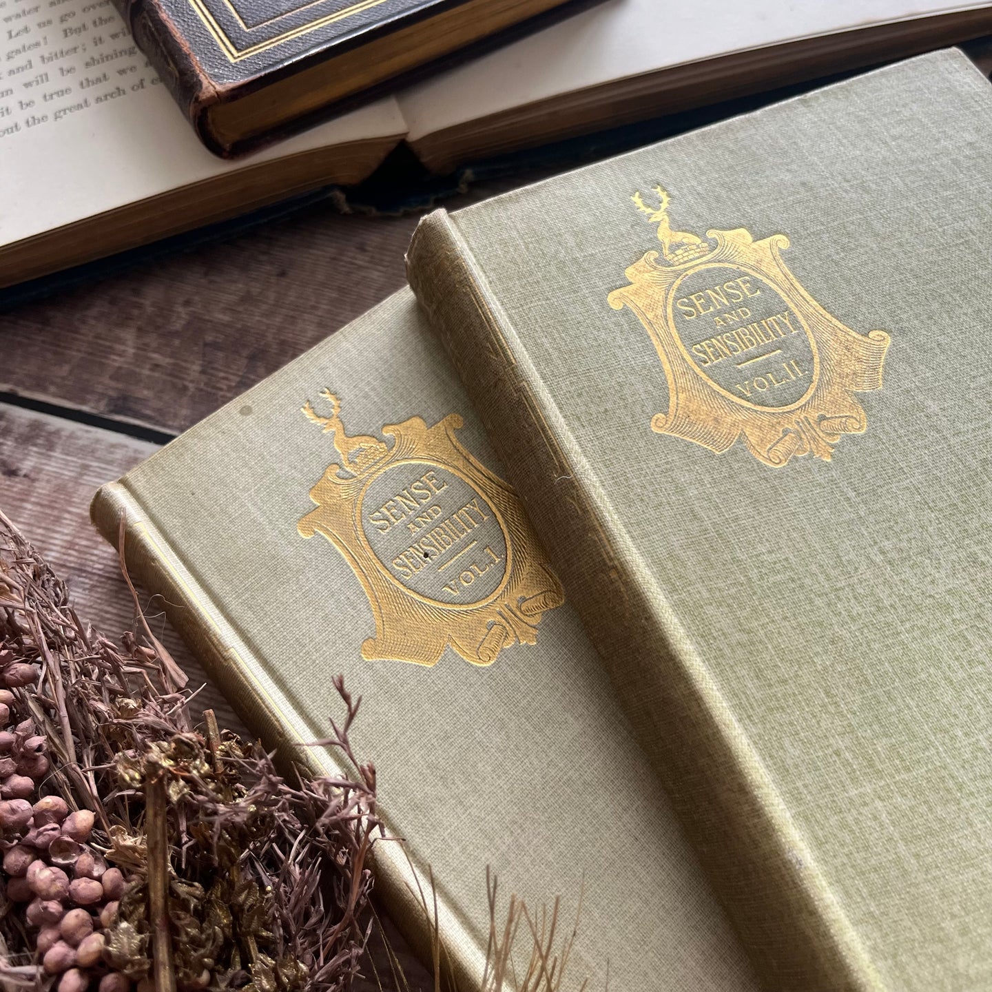 Sense and Sensibility by Jane Austen Late Victorian Two Volume Illustrated Books