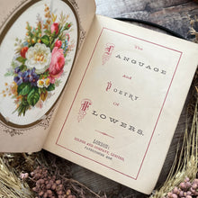 Load image into Gallery viewer, The Language and Poetry Of Flowers Antique Collectable Late Victorian Book Colour Plates
