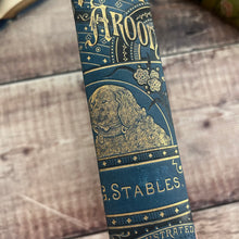 Load image into Gallery viewer, Aileen Aroon A Memoir; With Other Tales of Faithful Friends and Favourites; Victorian Book
