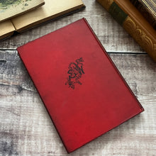 Load image into Gallery viewer, For Lucy's Sake by Annie S Swan Beautiful Cloth Binding Pocket Book
