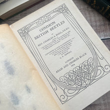 Load image into Gallery viewer, 1914 Common British Beetles by Rev Charles A Hall; Peeps at Nature Series First Edition
