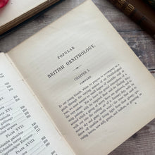 Load image into Gallery viewer, 1853 Popular British Ornithology by P.H.Gosse; Second Edition with Hand Coloured Plates
