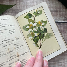 Load image into Gallery viewer, The Language and Sentiment of Flowers Warne&#39;s Bouquet Series Late Victorian Book
