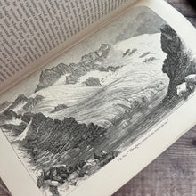 Load image into Gallery viewer, 1870 Alpine Flowers for English Gardens by W Robinson; Illustrated Victorian Book
