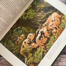 Load image into Gallery viewer, The Fields and The Woodlands Depicted by Painter and Poet; Victorian Book
