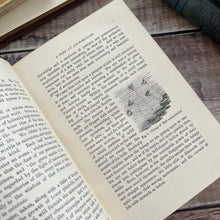 Load image into Gallery viewer, Sketches of Animal Life and Habits by Andrew Wilson; Victorian Illustrated Nature Book
