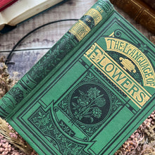 Load image into Gallery viewer, The Language of Flowers; Late Victorian Illustrated Book
