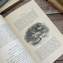 Load image into Gallery viewer, 1899 The Forest Trees of Britain by Rev C.A. Johns; Illustrated Victorian Book
