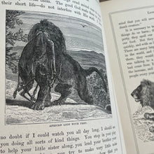 Load image into Gallery viewer, Victorian Book of Field Friends and Forest Foes; Illustrated 19th Century Book
