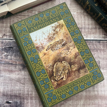 Load image into Gallery viewer, 1913 Reptiles and Amphibians by A Nicol Simpson; Peeps at Nature Series First Edition
