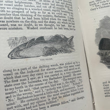 Load image into Gallery viewer, The Wonders of the World in Earth, Sea and Sky by Uncle John; Victorian Illustrated Book
