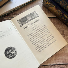 Load image into Gallery viewer, The Lost Child by Franz Hoffman Antique Floral Binding Book Illustrated
