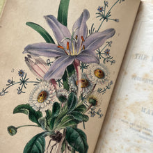 Load image into Gallery viewer, 1845 Flowers of The Matin and Even Song or Thoughts for Those Who Rise Early RARE
