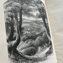 Load image into Gallery viewer, 1875 The Natural History and Antiquities of Selborne by Gilbert White Beautiful Binding

